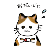 883483462