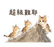 883484256