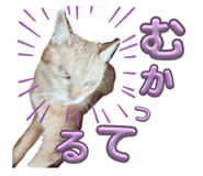 883486400