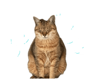 883486401