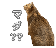 883486402