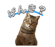 883486405