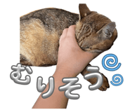 883486408