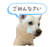 883493041