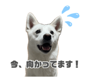 883493042