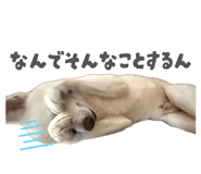 883493050