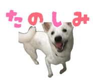 883493054