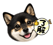 883494131