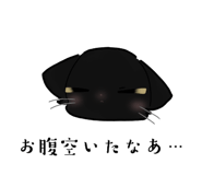 883502137