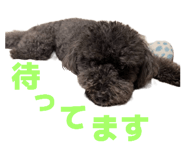 883502875