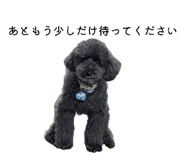 883502885