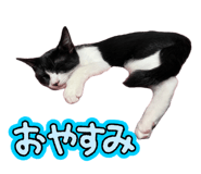883503780