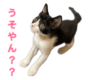 883503782