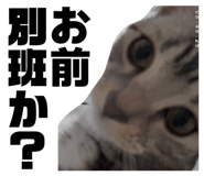 883504200