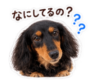 883505745