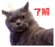 883506353