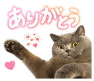 883506362