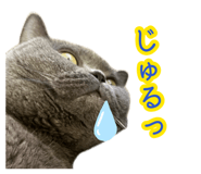 883506366