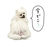 883507350