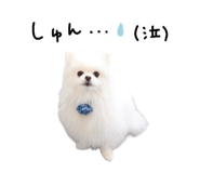 883507353