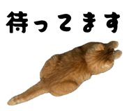 883507885