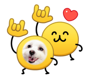 883509196