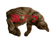 883510587