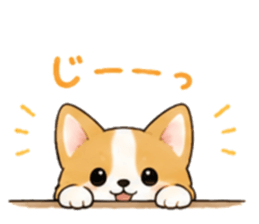 883512746