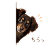 883513020