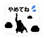 883513037