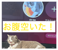 883513070