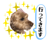 883513078