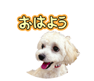 883513080