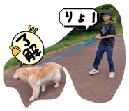 883513209