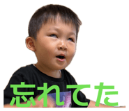 883513231