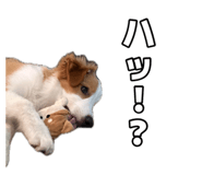 883514813