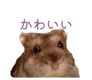 883515045