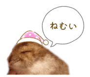 883515046