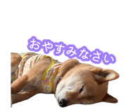 883515194