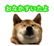 883515203