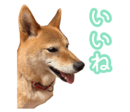 883515207