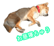 883515208