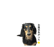 883515769