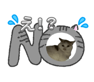 883515883