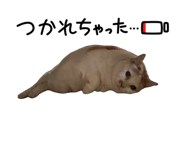 883515885