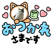 883515888