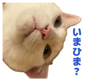 883515898