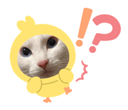 883515912