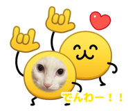 883515919