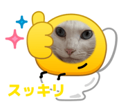 883515920